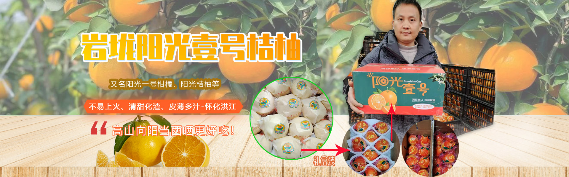 怀化洪江岩垅阳光一号桔柚