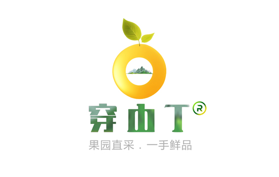 2023年老家组建集种植，采摘，销售一体的团队