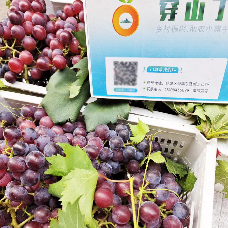 小图