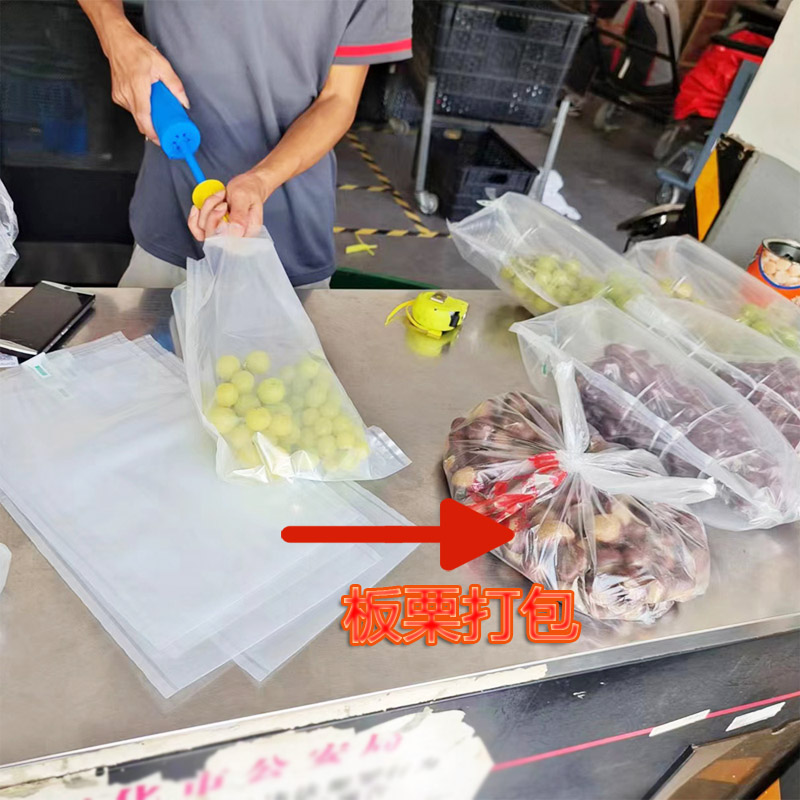 800板栗-5