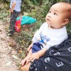 怀化泸阳山坡本地板栗子