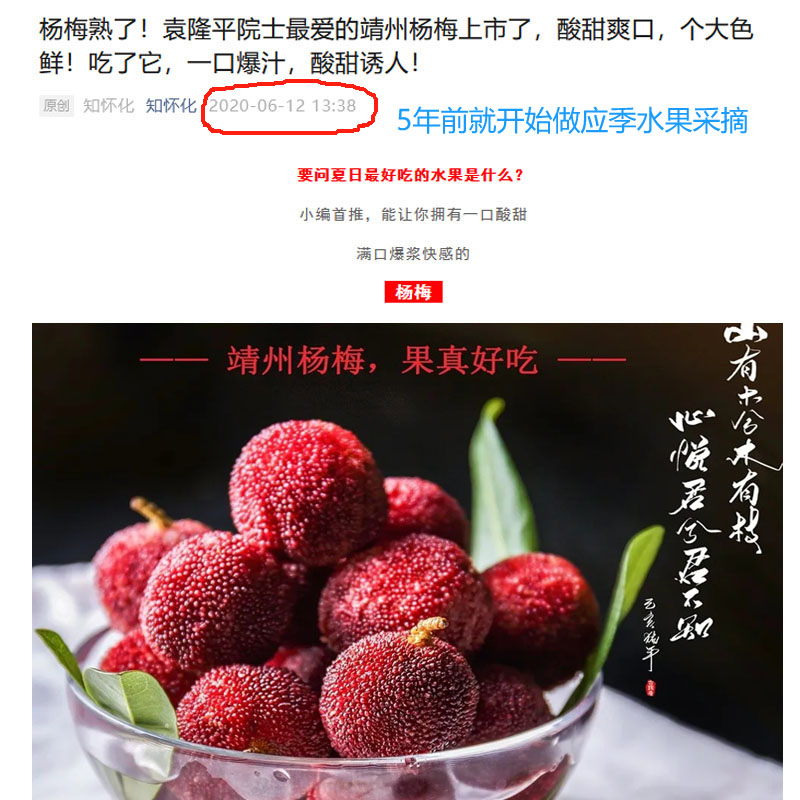怀化靖州东魁杨梅