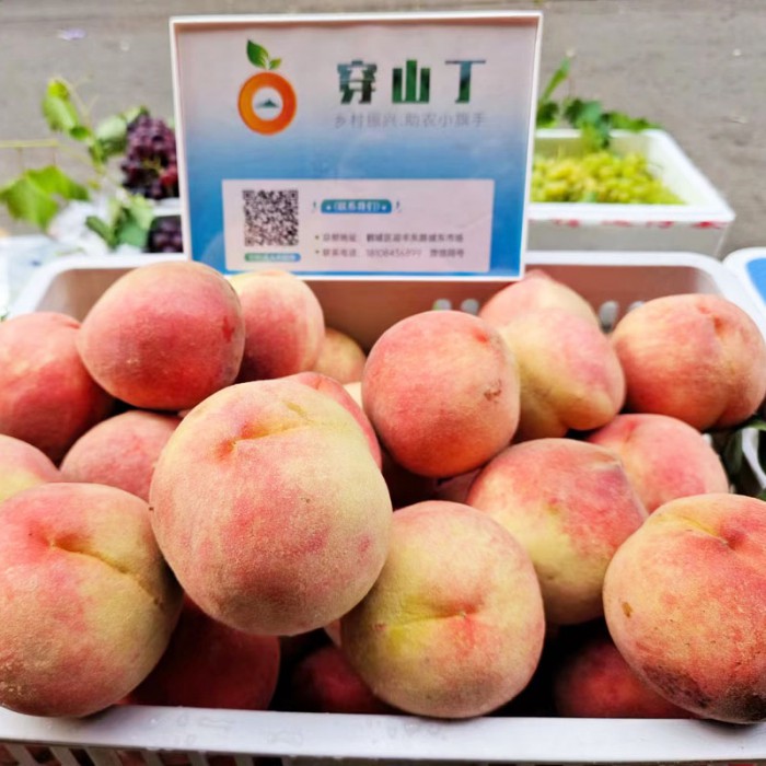 怀化芷江水蜜桃