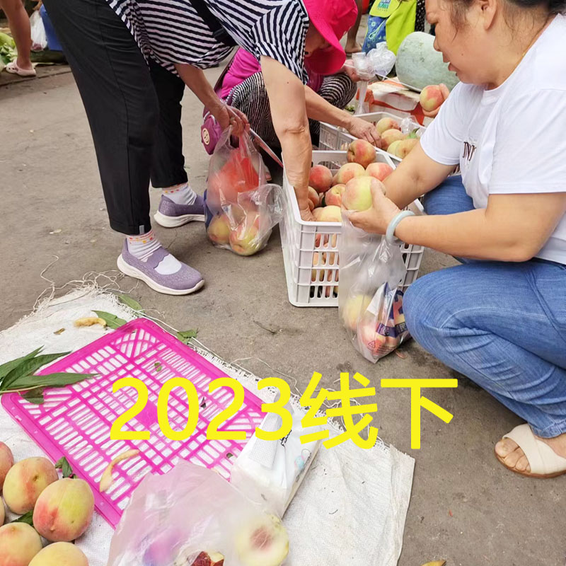 小图