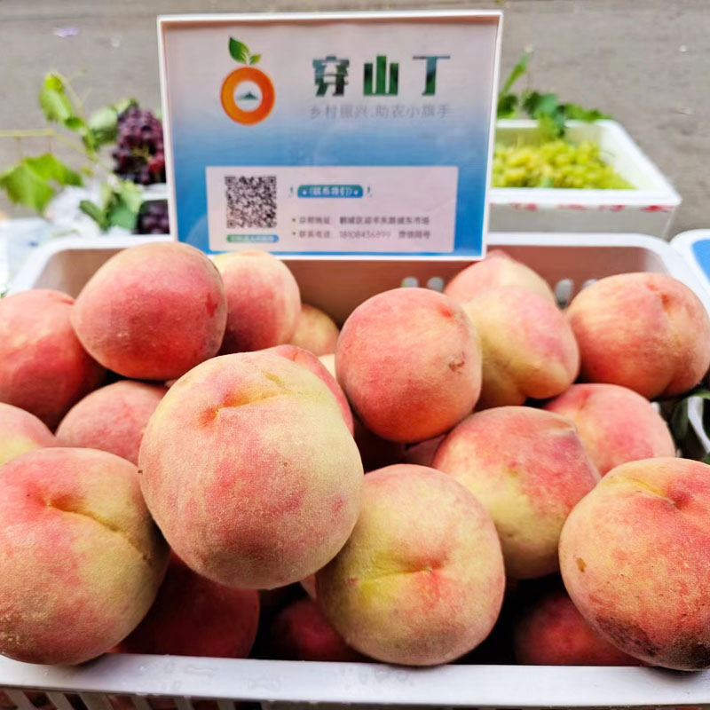 800水蜜桃-33