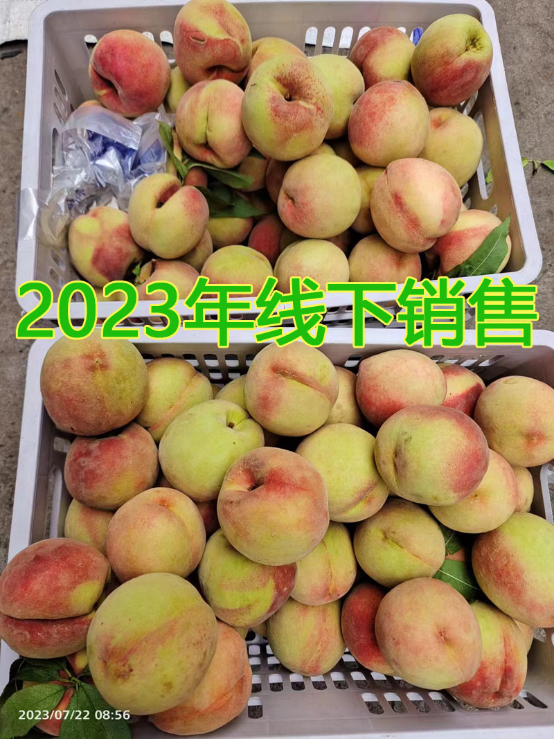 水蜜桃 简介