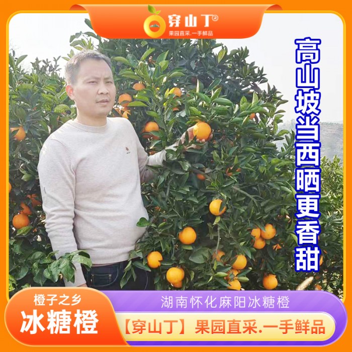 怀化麻阳冰糖橙_正宗湖南麻阳高山顶阳光充足当西晒新鲜冰糖柑