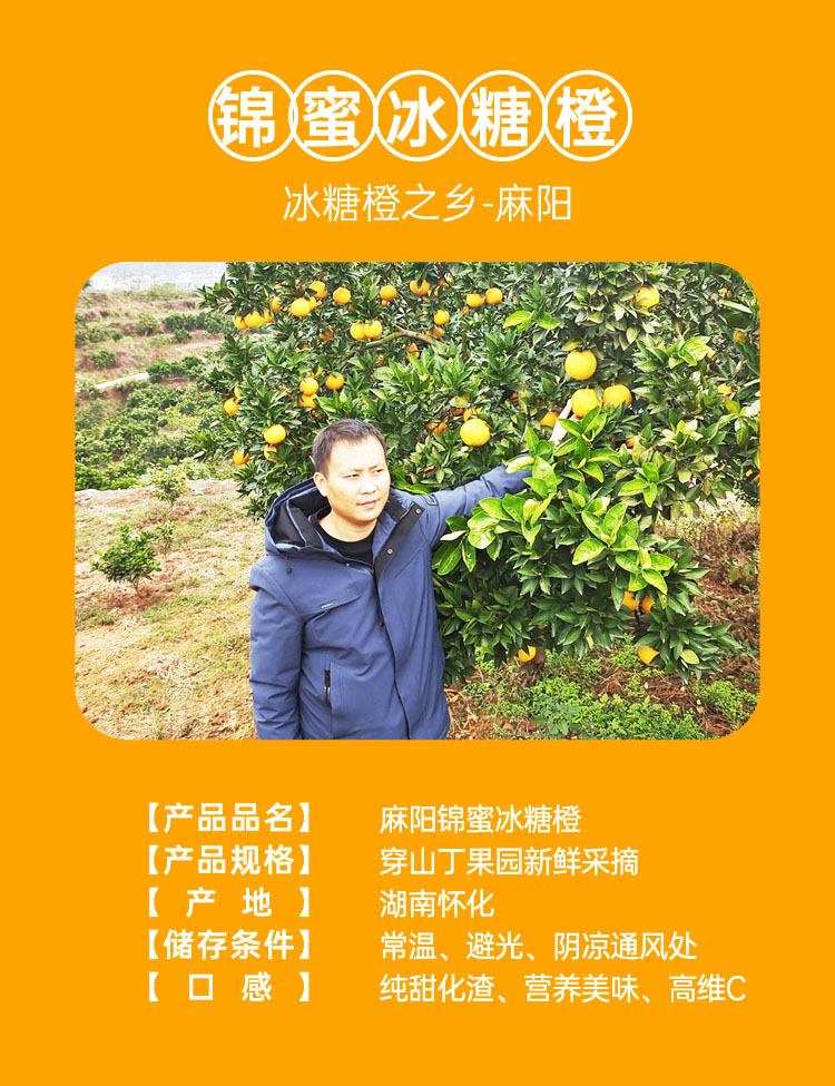 1 水果小档案