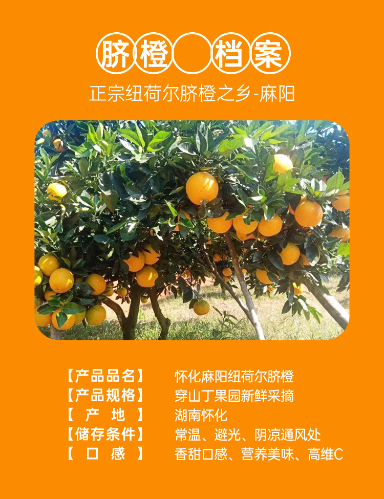 1 水果小档案