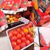 湖南怀化正宗麻阳血橙_麻阳县血橙塔罗科新鲜水果手剥红心肉橙子