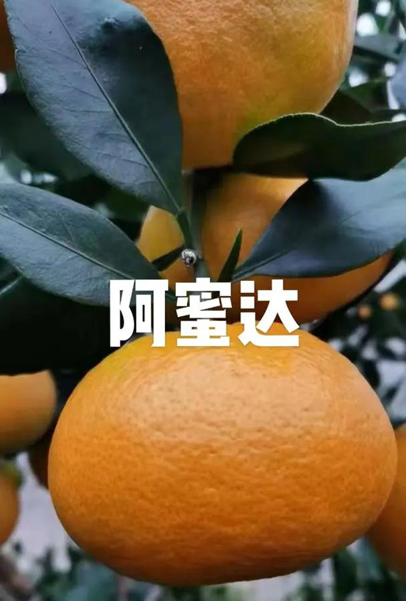 小图