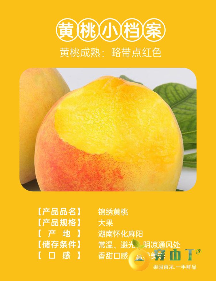 1 水果小档案