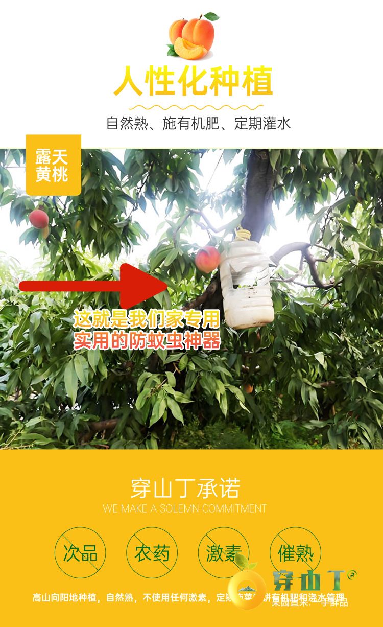 3 健康种植看得见 