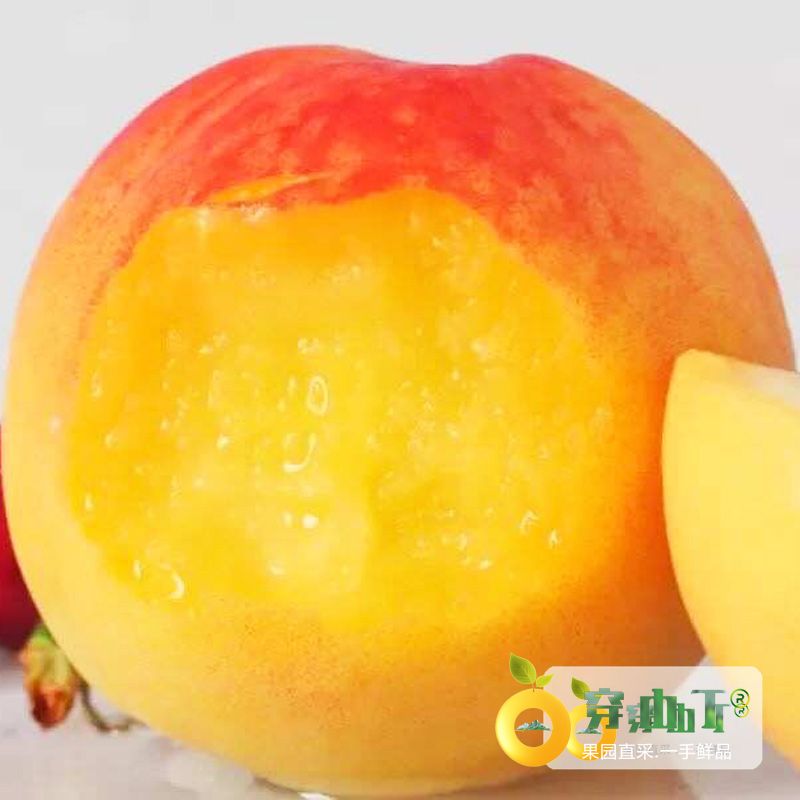 怀化麻阳锦绣黄桃小图