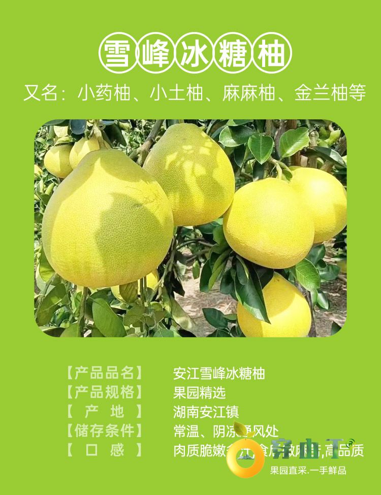 1 水果小档案