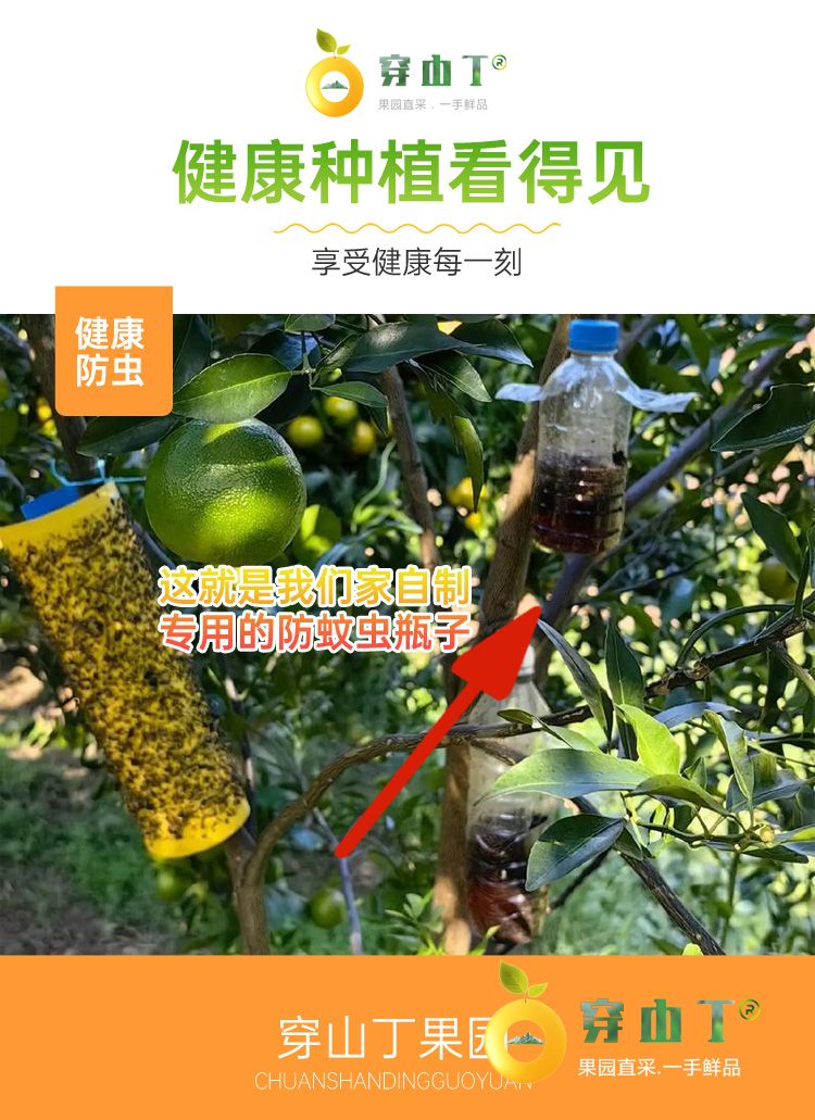 3 健康种植看得见 