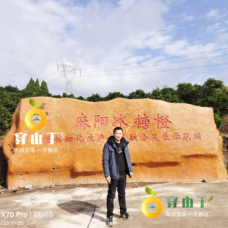1 封面麻阳冰糖橙