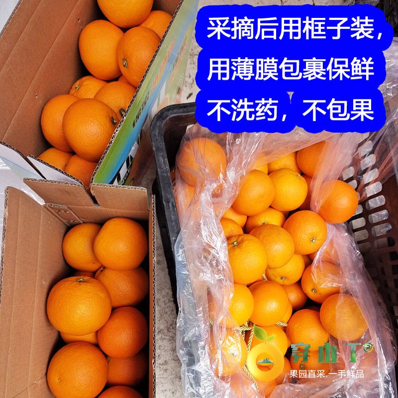 封面3