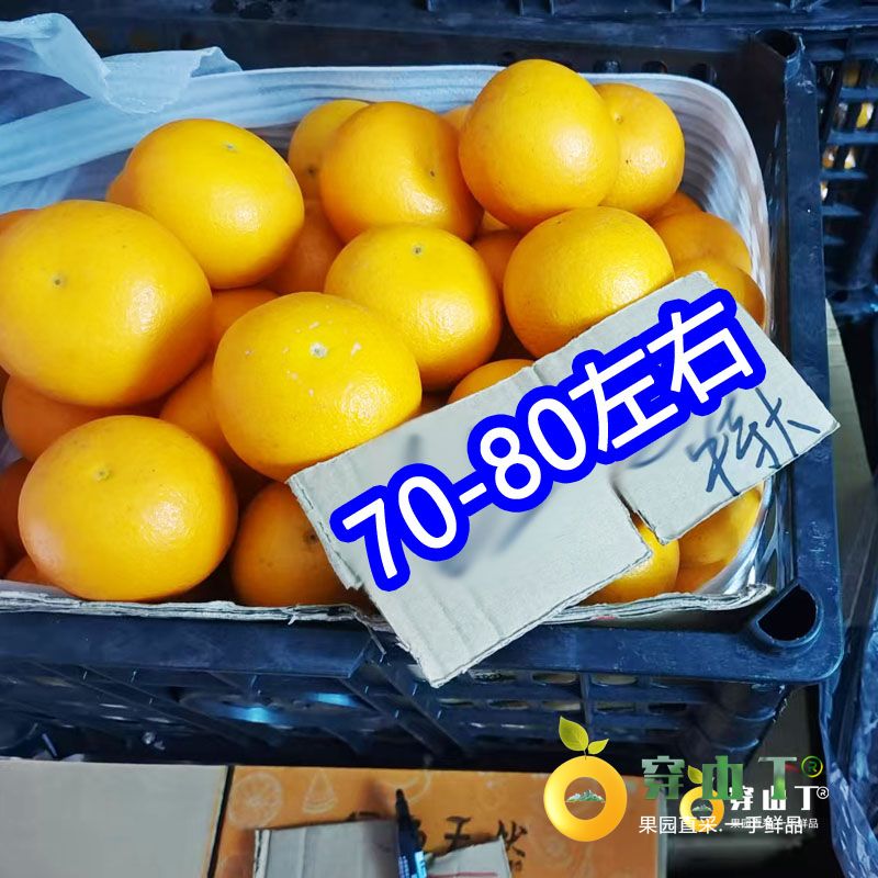 怀化麻阳锦红冰糖橙_锦红冰糖橙多少一斤?小图