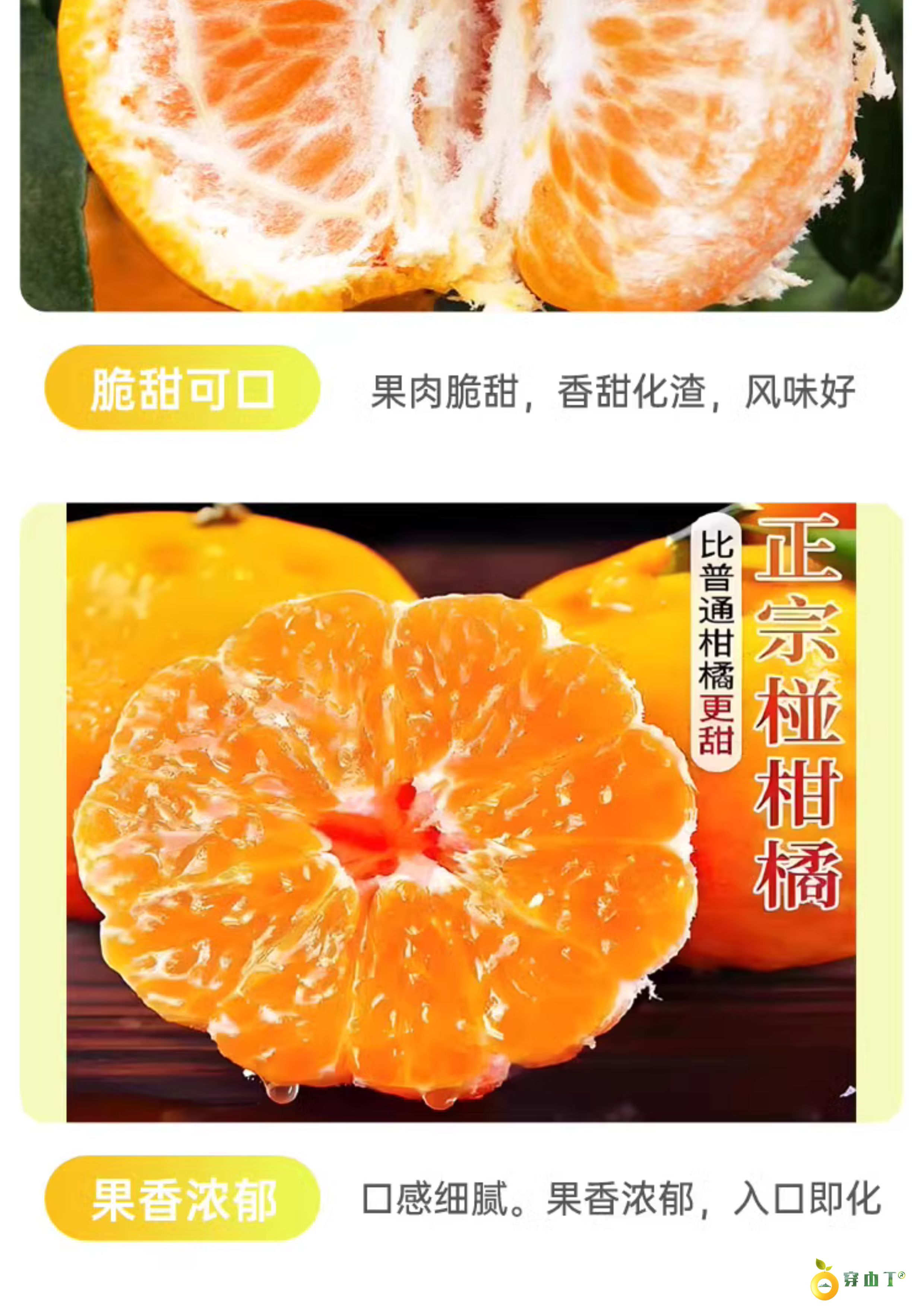 麻阳椪柑