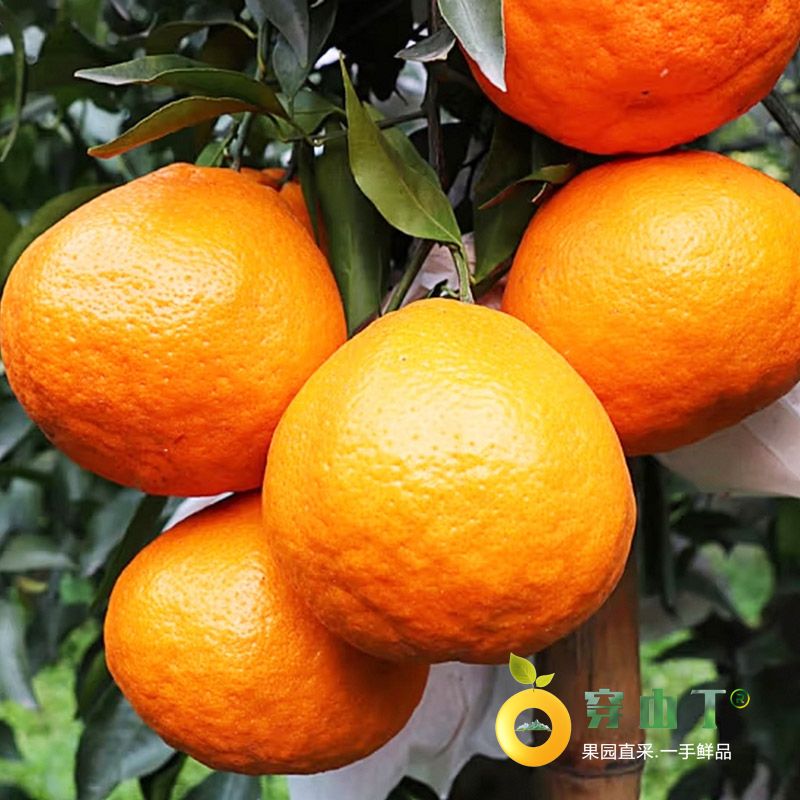 封面2