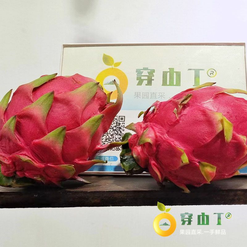 怀化泸阳火龙果_应季水果湖南红心火龙果小图