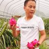 怀化泸阳火龙果_应季水果湖南红心火龙果