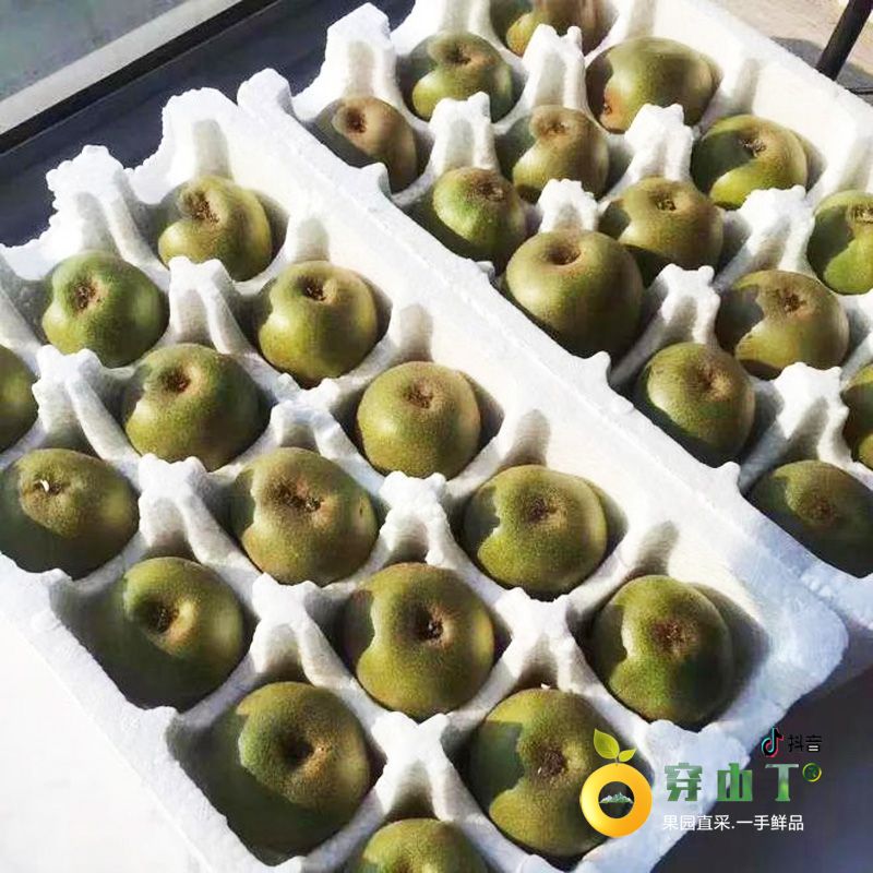 怀化麻阳红心猕猴桃_麻阳奇异果小图