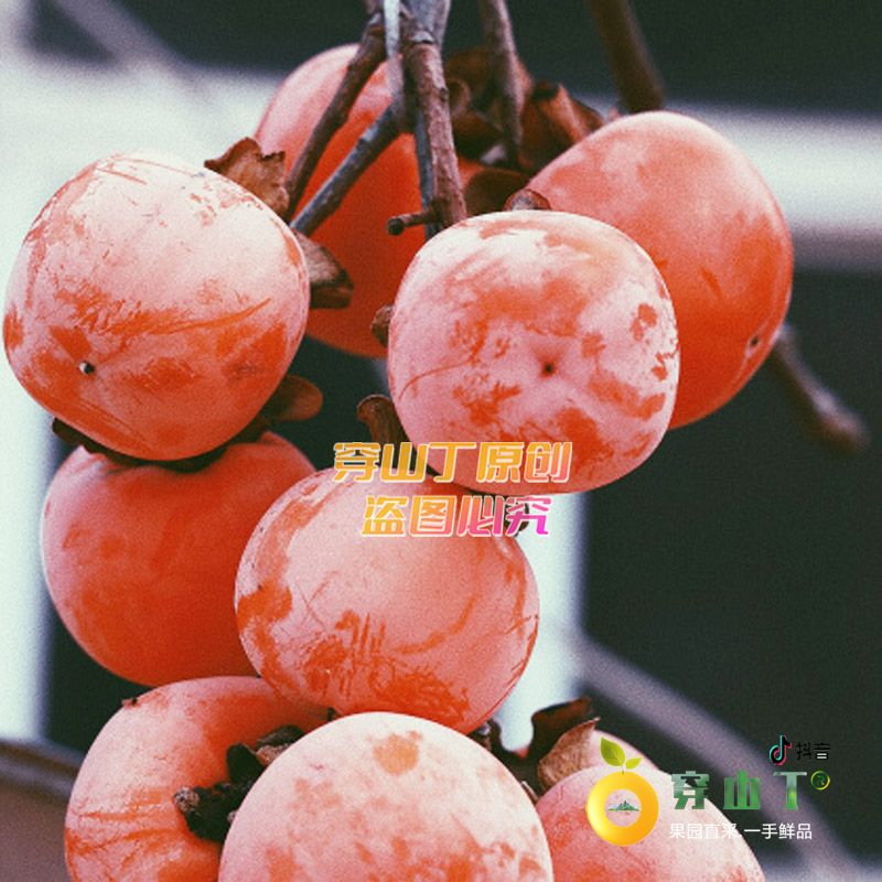 封面3