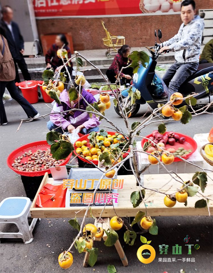 湖南怀化市五里村的本地高山柿子_红柿子可以晒干或放软了吃小图