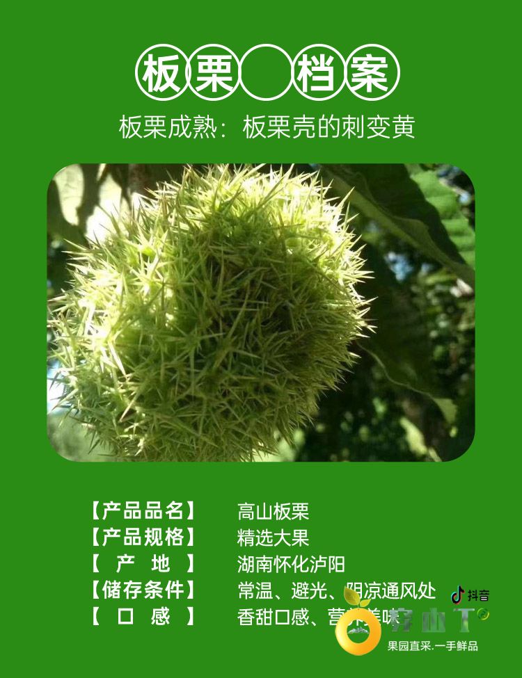 1 水果小档案