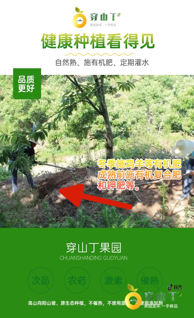 3 健康种植看得见 