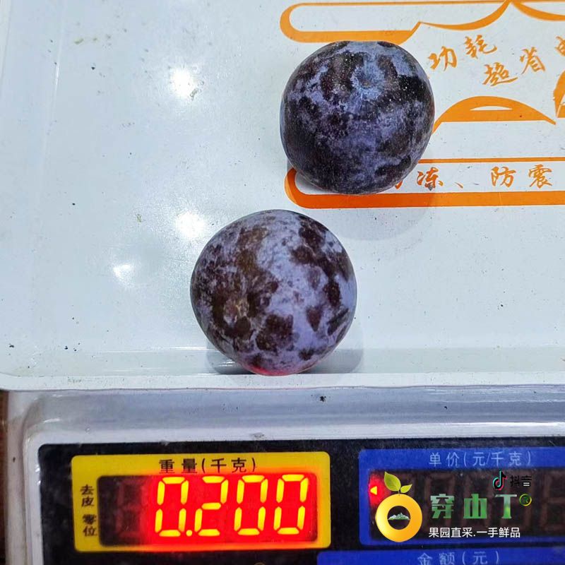 单果重2