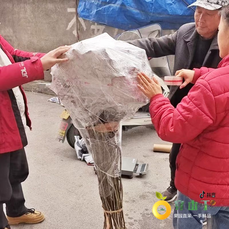 微信图片_202502091315182