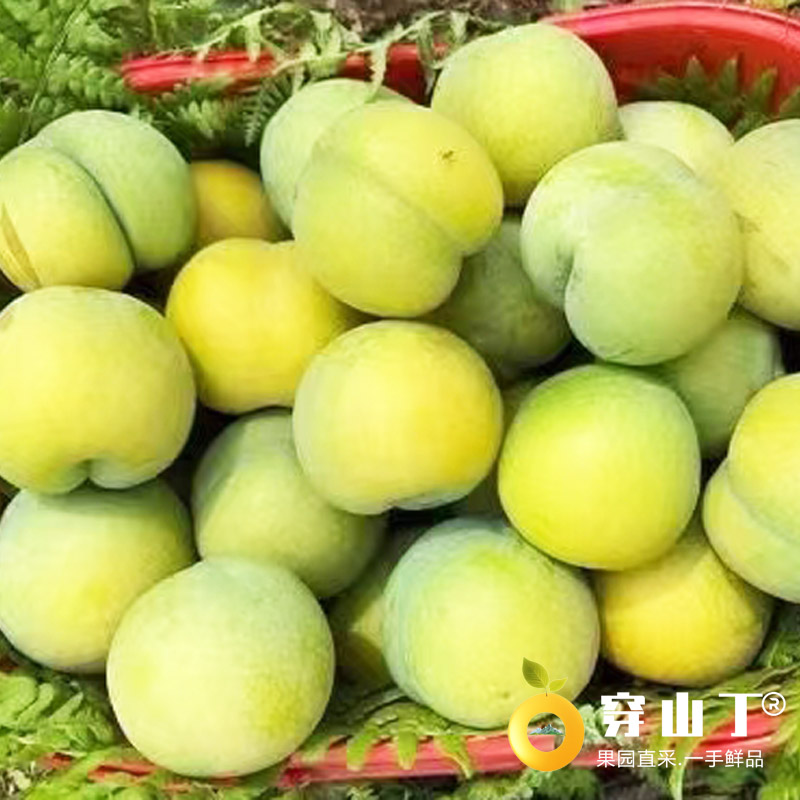 封面2