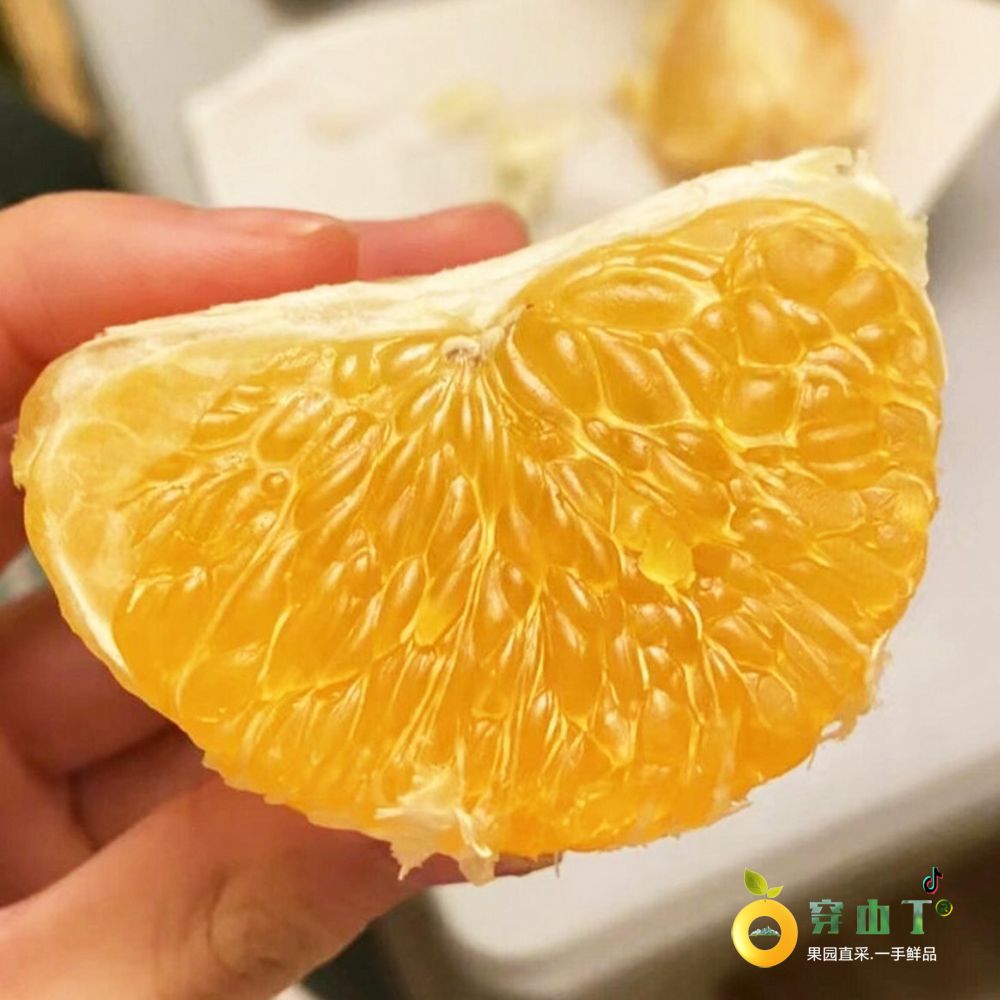 怀化黄金一号黄金甲嘎蹦脆柑橘 又叫柠夏柑_耀汁橙等小图