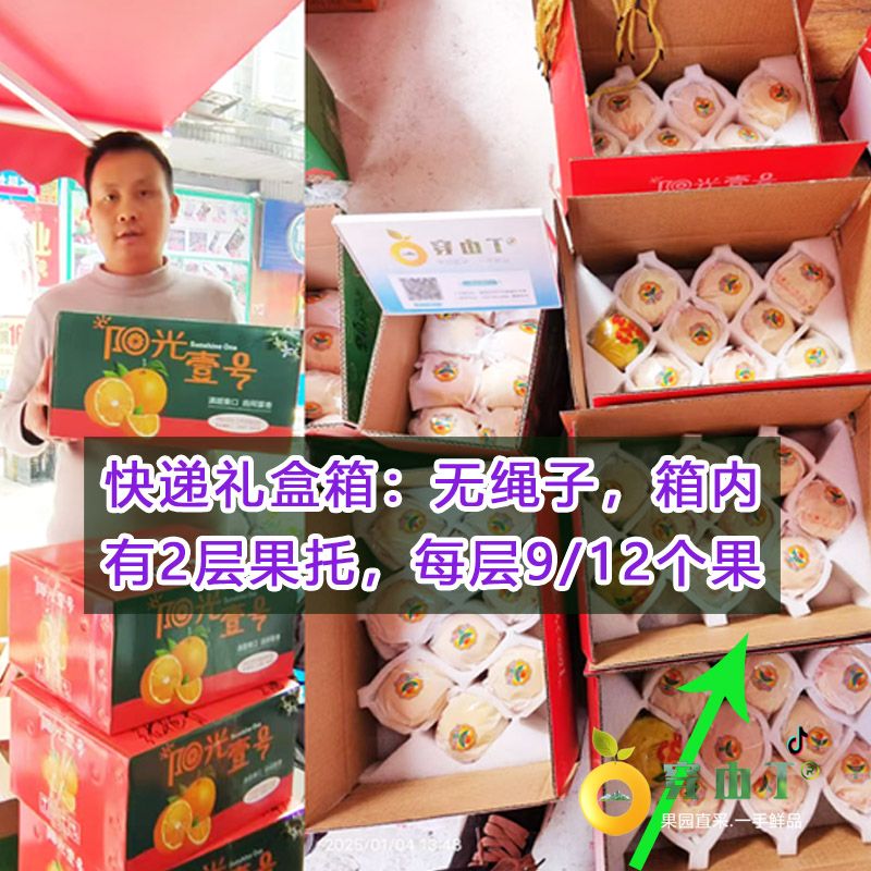 阳光一号桔柚_怀化洪江岩垅阳光一号桔柚批发小图