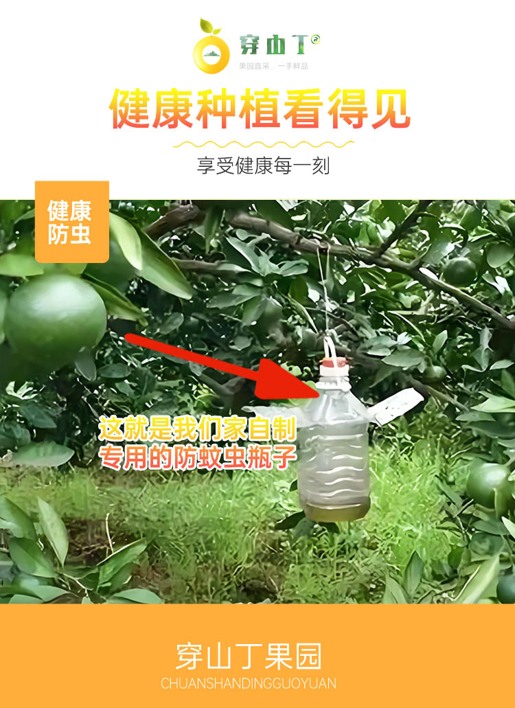 3 健康种植看得见 