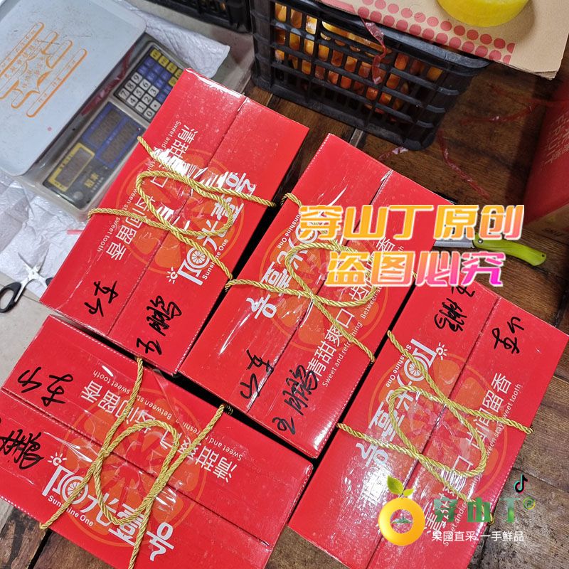 柑桔新品种阳光1号桔柚介绍小图