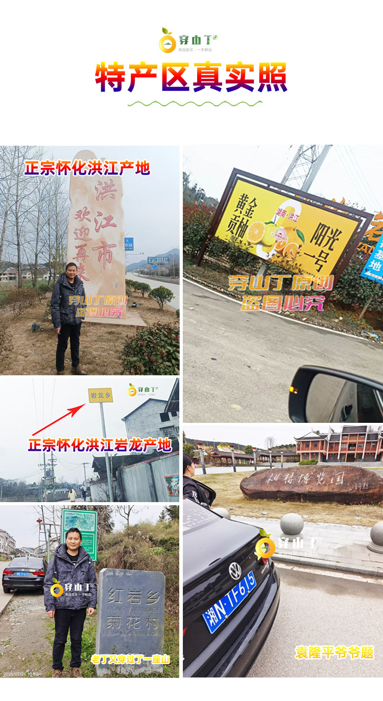 8 采摘地照片