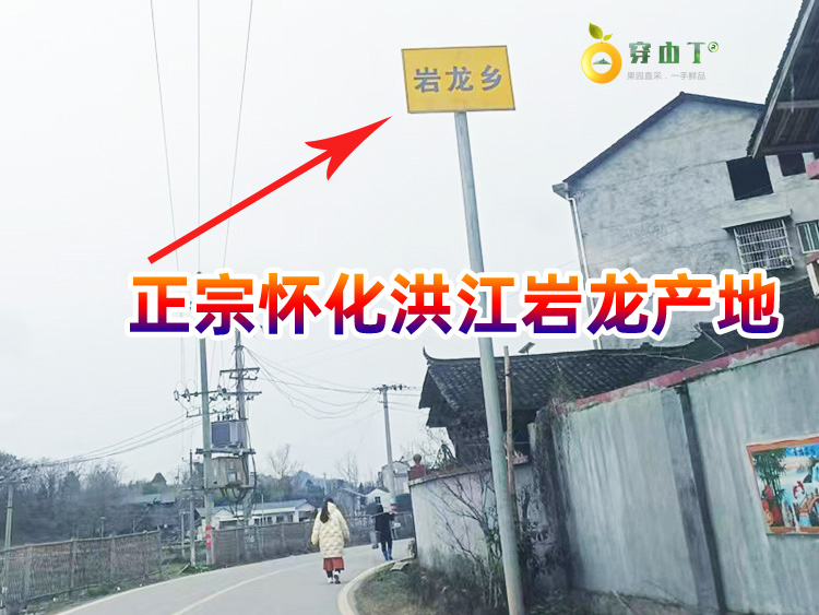 岩垅