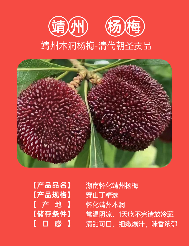 1 水果小档案
