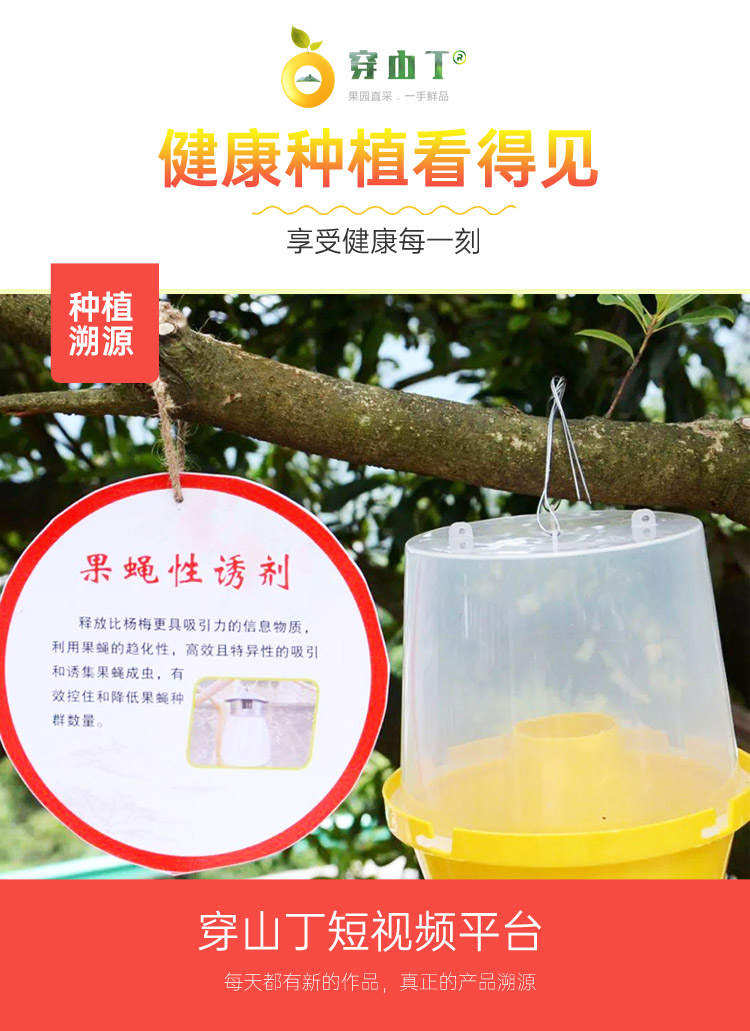 3 健康种植看得见 