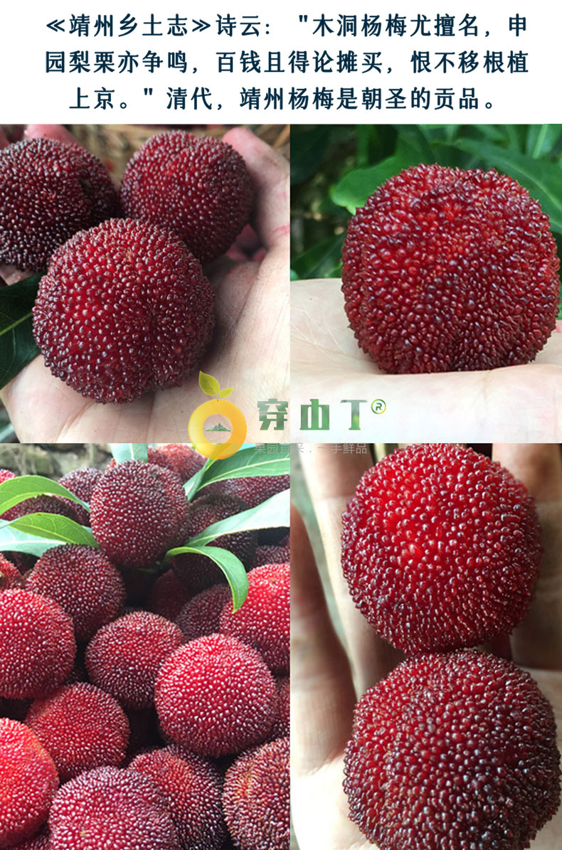朝圣贡品