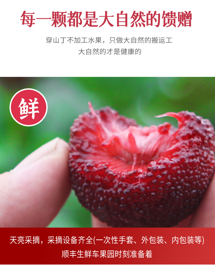 鲜
