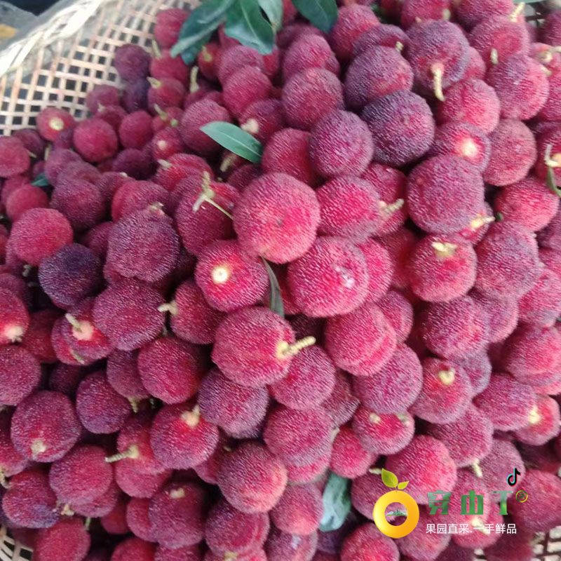 湖南怀化靖州木洞杨梅_新鲜大颗东魁杨梅_黑炭荸荠杨梅顺丰包邮！小图