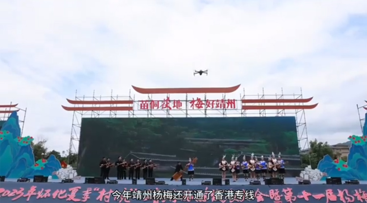 怀化靖州杨梅