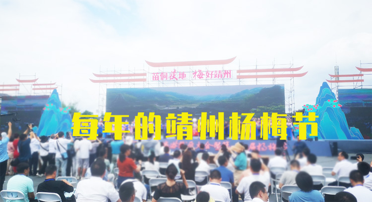 怀化靖州杨梅