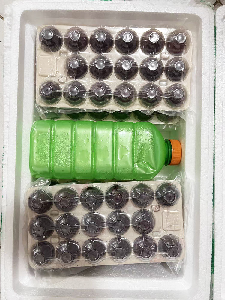 怀化靖州杨梅