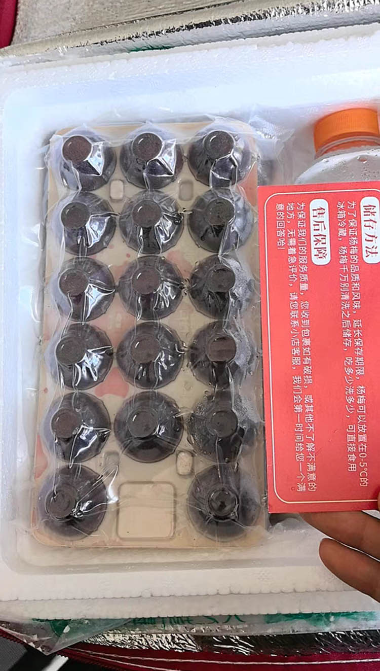 怀化靖州杨梅